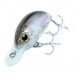 Воблер Jackson Merrow 5.3см 9г RWA floating